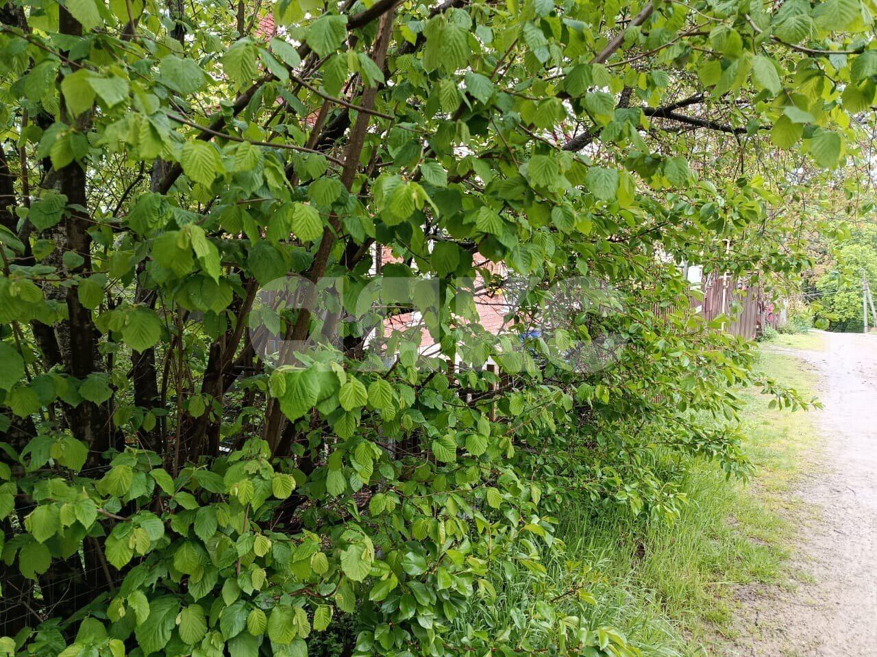Фото №6: Участок садоводство 5.73&nbsp;сот. - Горячий Ключ, Городская Больница, мкр. СТ Кунпанова Поляна, ул. Больничная