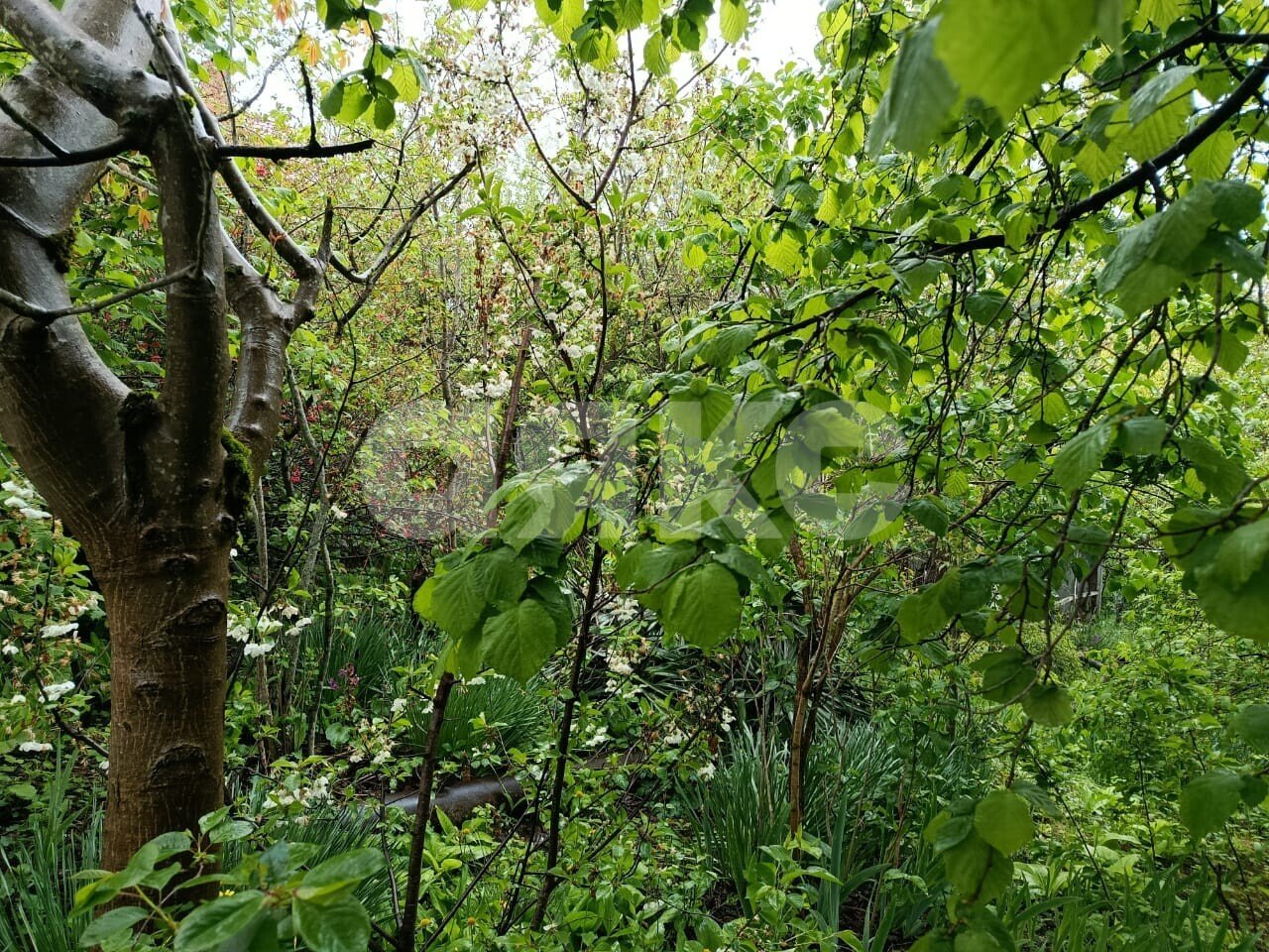 Фото №4: Участок садоводство 5.73&nbsp;сот. - Горячий Ключ, Городская Больница, мкр. СТ Кунпанова Поляна, ул. Больничная