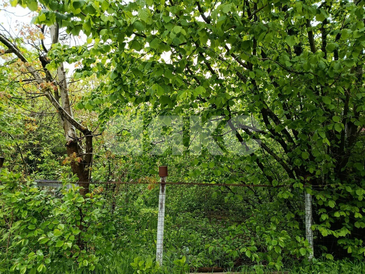 Фото №2: Участок садоводство 5.73&nbsp;сот. - Горячий Ключ, Городская Больница, мкр. СТ Кунпанова Поляна, ул. Больничная