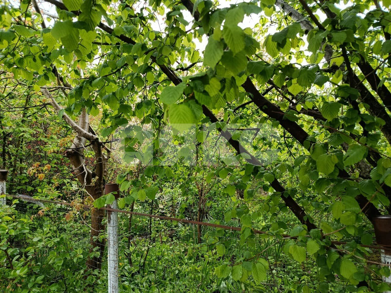 Фото №5: Участок садоводство 5.73&nbsp;сот. - Горячий Ключ, Городская Больница, мкр. СТ Кунпанова Поляна, ул. Больничная