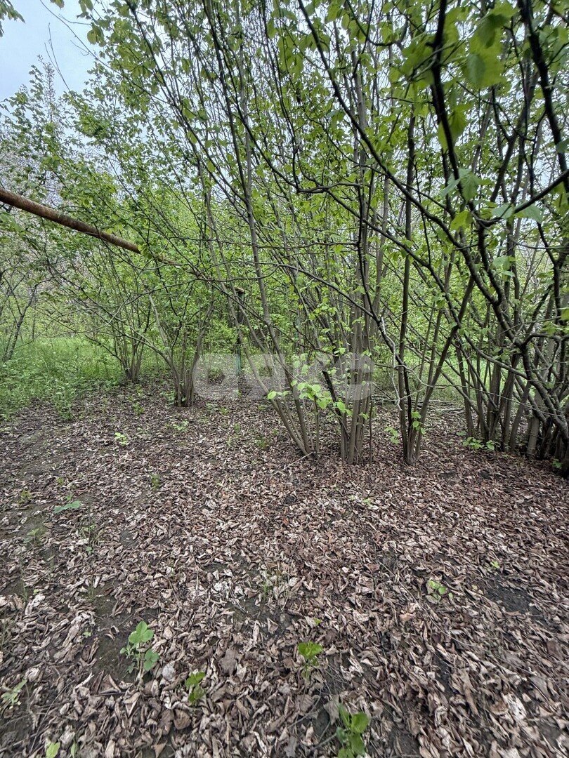 Фото №13: Земельный участок под ИЖС 24&nbsp;сот. - Причтовский, ул. Ленина, 23