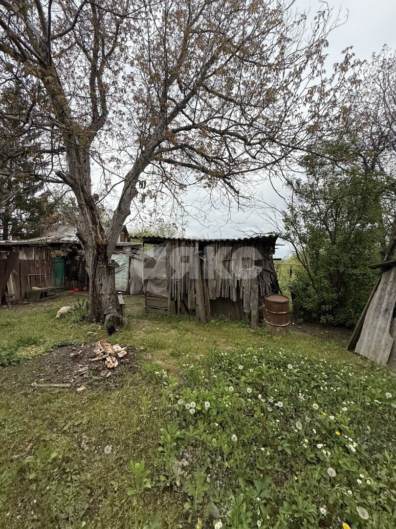 Фото №4: Земельный участок под ИЖС 24&nbsp;сот. - Причтовский, ул. Ленина, 23