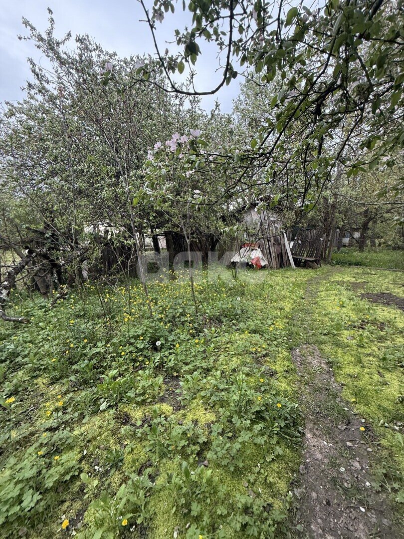 Фото №10: Земельный участок под ИЖС 24&nbsp;сот. - Причтовский, ул. Ленина, 23
