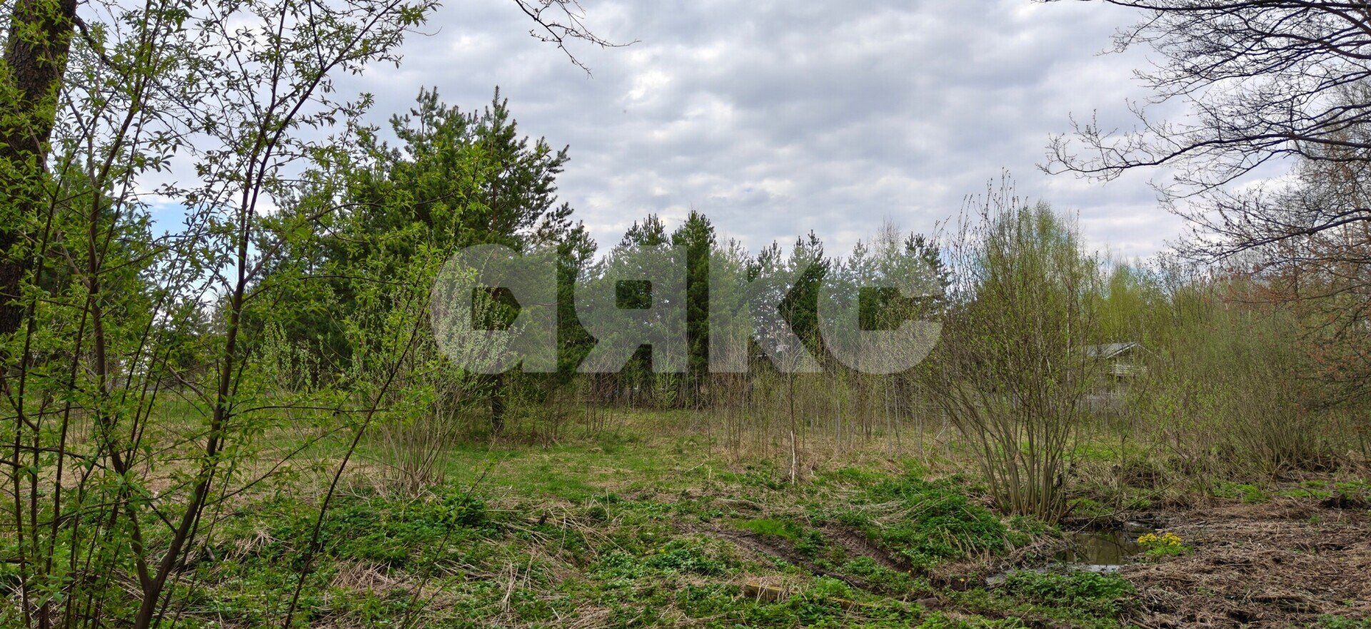 Фото №6: Земельный участок под ИЖС 22.5&nbsp;сот. - КП Зелёная опушка-2, 256