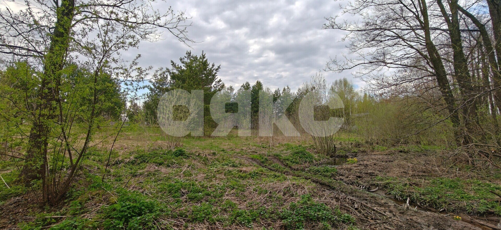 Фото №8: Земельный участок под ИЖС 22.5&nbsp;сот. - КП Зелёная опушка-2, 256