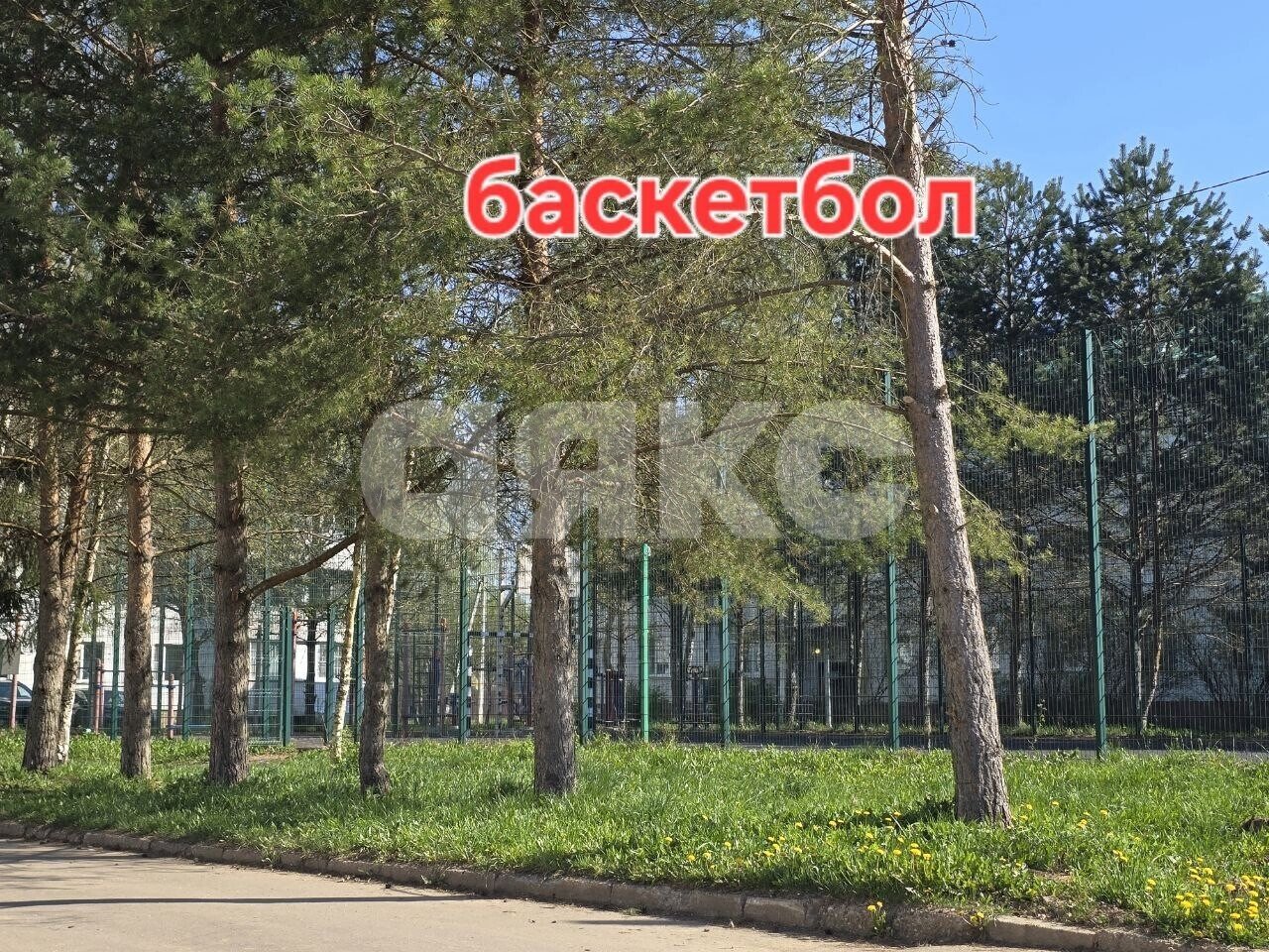Фото №14: Земельный участок под ИЖС 6&nbsp;сот. - Новая Ольховка, ул. Северная
