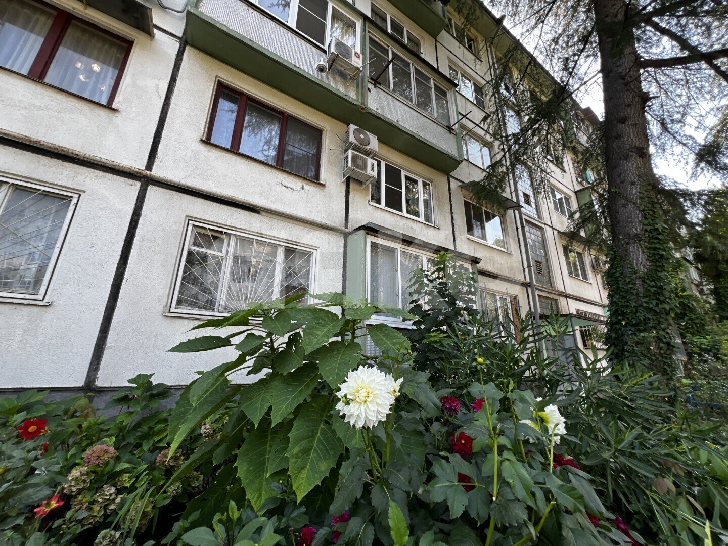 Фото №34: Комната 18&nbsp;м², 3/5&nbsp;эт. - Дагомыс, р. Лазаревский, ул. Батумское шоссе, 33