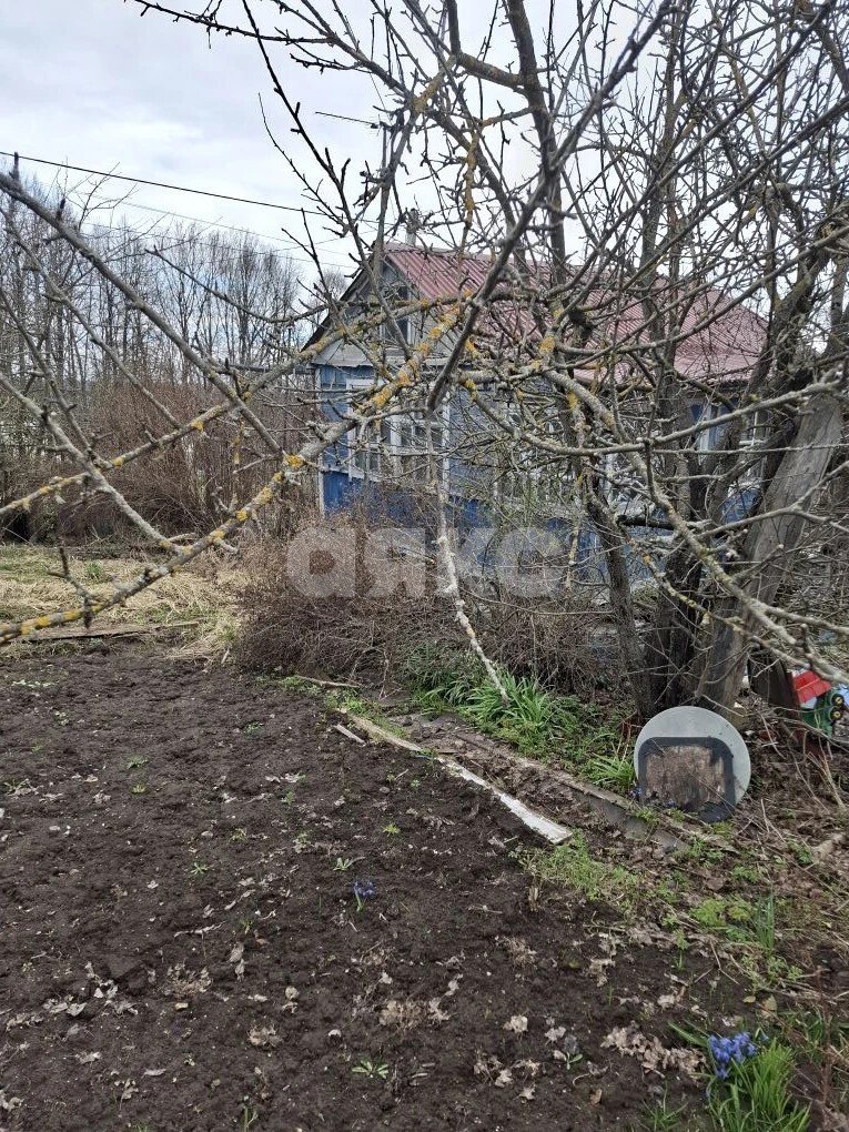 Фото №5: Дача 29&nbsp;м² + 5.7&nbsp;сот., 1&nbsp;эт. - СНТ Мыза-3, мкр. Пролетарский территориальный округ, 210