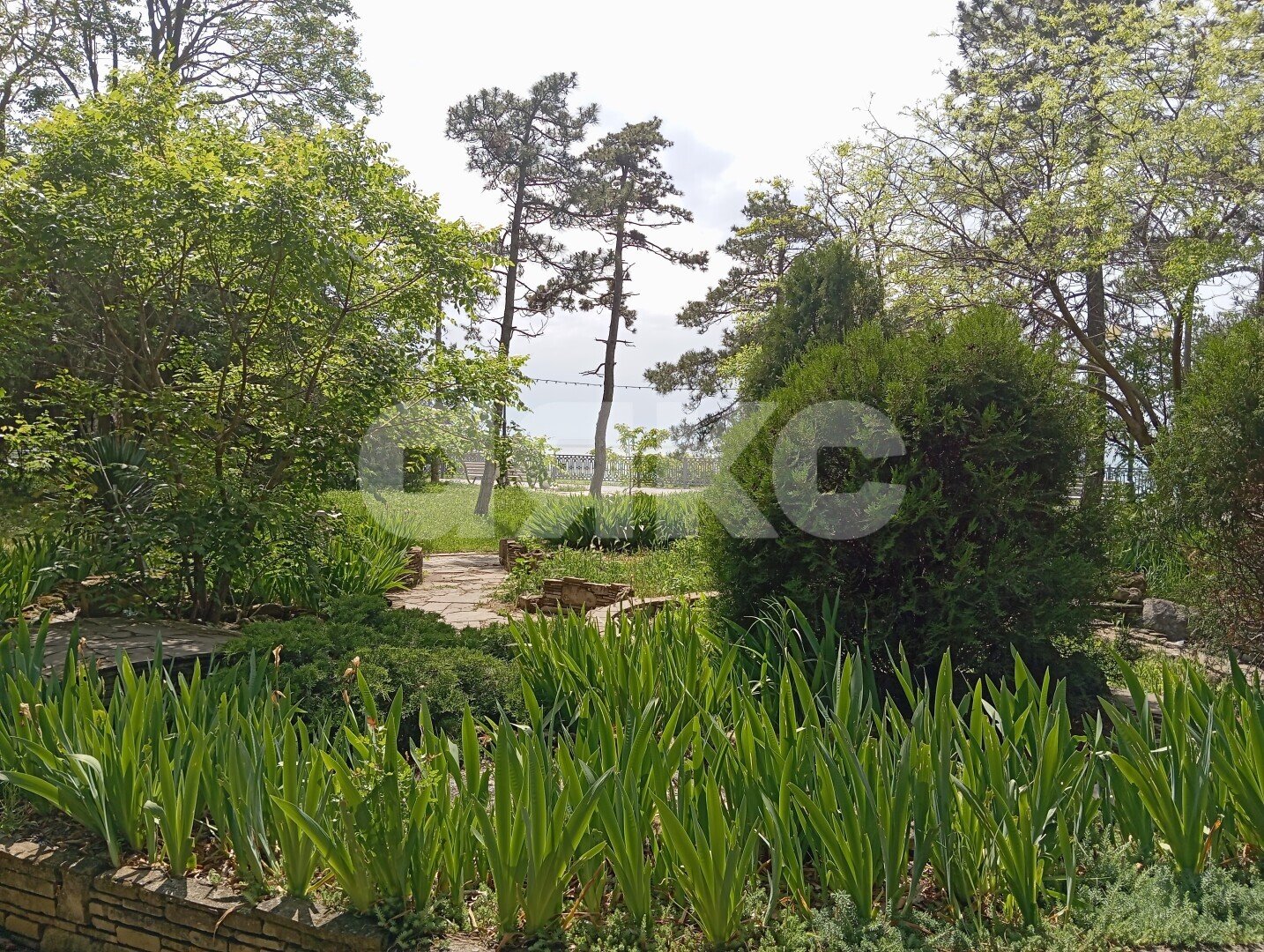 Фото №10: Студия 17&nbsp;м², 1/3&nbsp;эт. - Анапа, ул. Кирова, 34