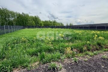 Фото №1: Дачное некоммерческое партнерство 8&nbsp;сот. - Салтыково, 