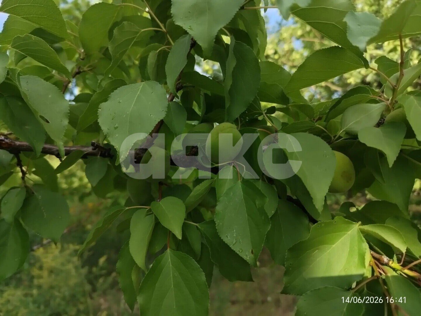 Фото №24: Дом 72&nbsp;м² + 6.1&nbsp;сот., 2&nbsp;эт. - СНТ Фрегат, ул. 4-я