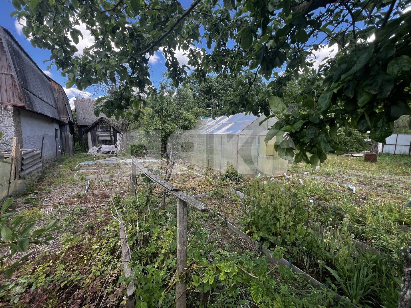Фото №2: Участок садоводство 5.2&nbsp;сот. - Воскресенск, мкр. СНТ Отдых, 249
