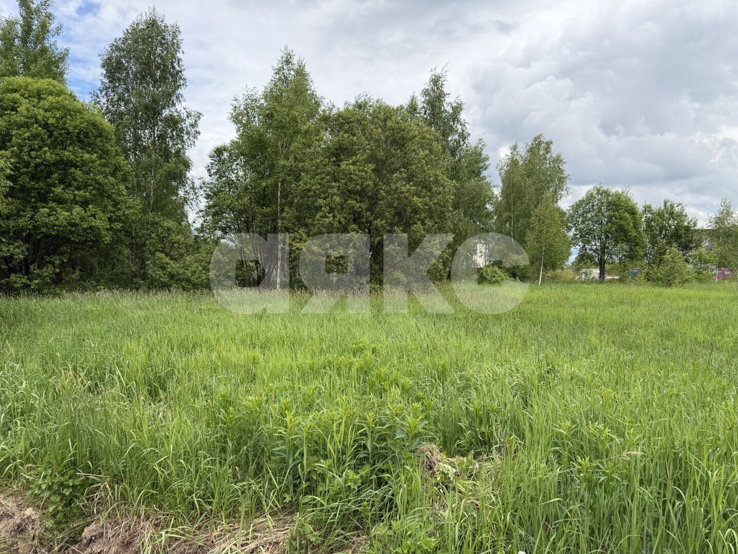 Фото №3: Участок садоводство 15&nbsp;сот. - ДНП Дубрава