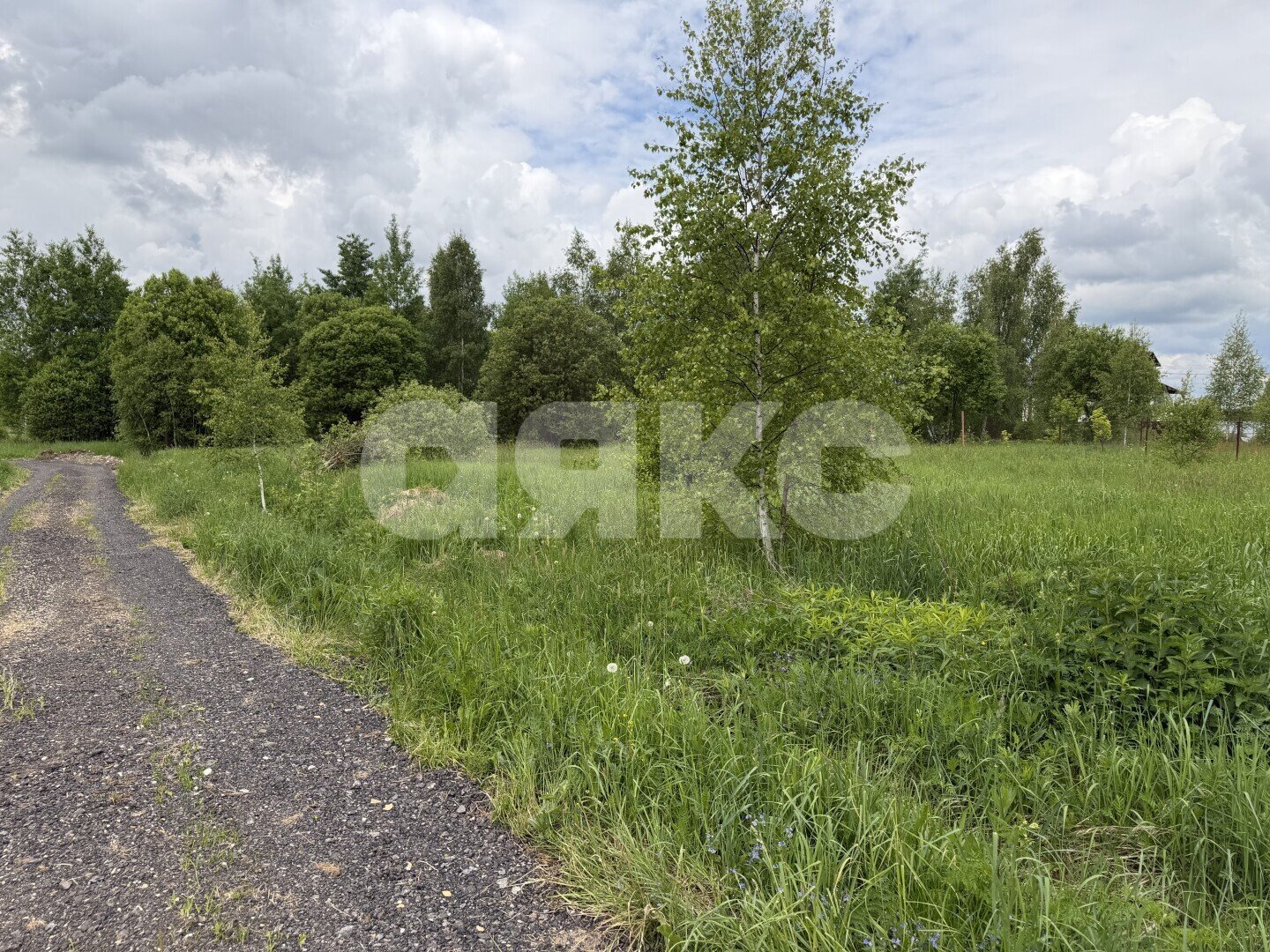 Фото №6: Участок садоводство 15&nbsp;сот. - ДНП Дубрава