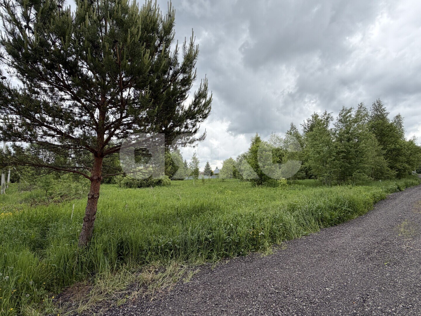 Фото №10: Участок садоводство 15&nbsp;сот. - ДНП Дубрава