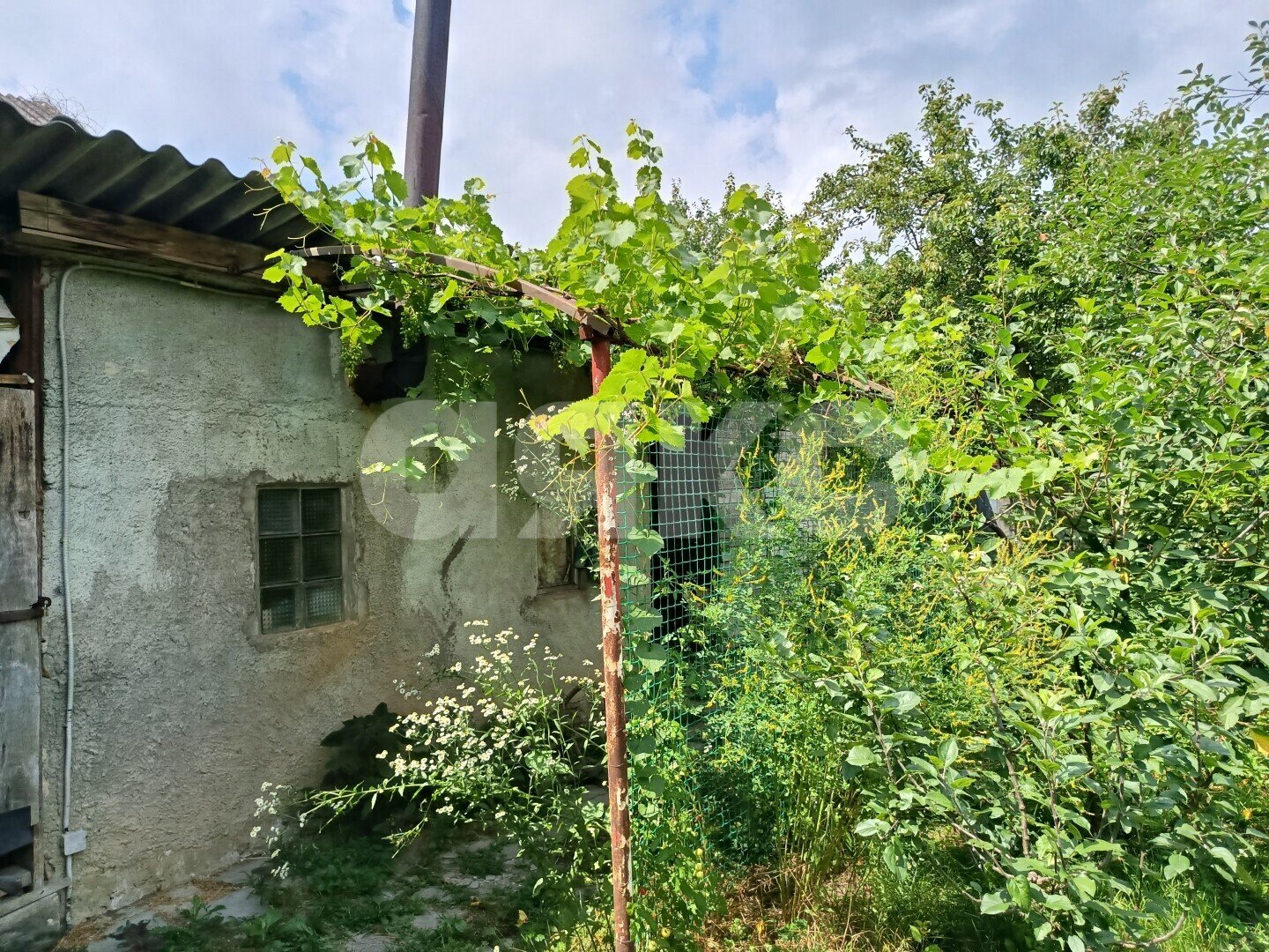 Фото №10: Дом 50&nbsp;м² + 9&nbsp;сот., 1&nbsp;эт. - Пшада, ул. Новороссийская, 47А