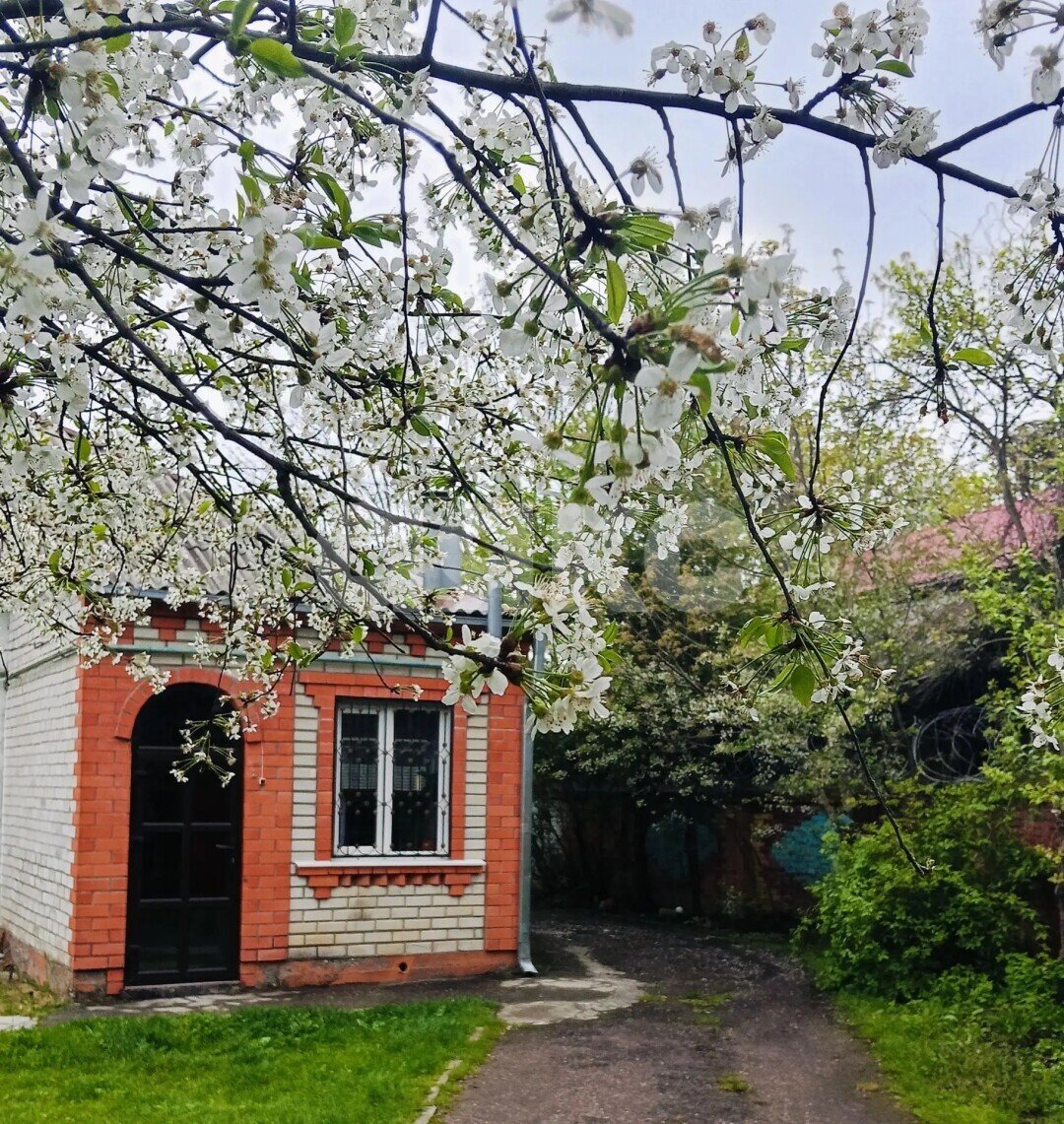 Фото №6: 2-комнатная квартира 54&nbsp;м², 1/1&nbsp;эт. - Майкоп, мкр. Центр, ул. Пушкина, 230