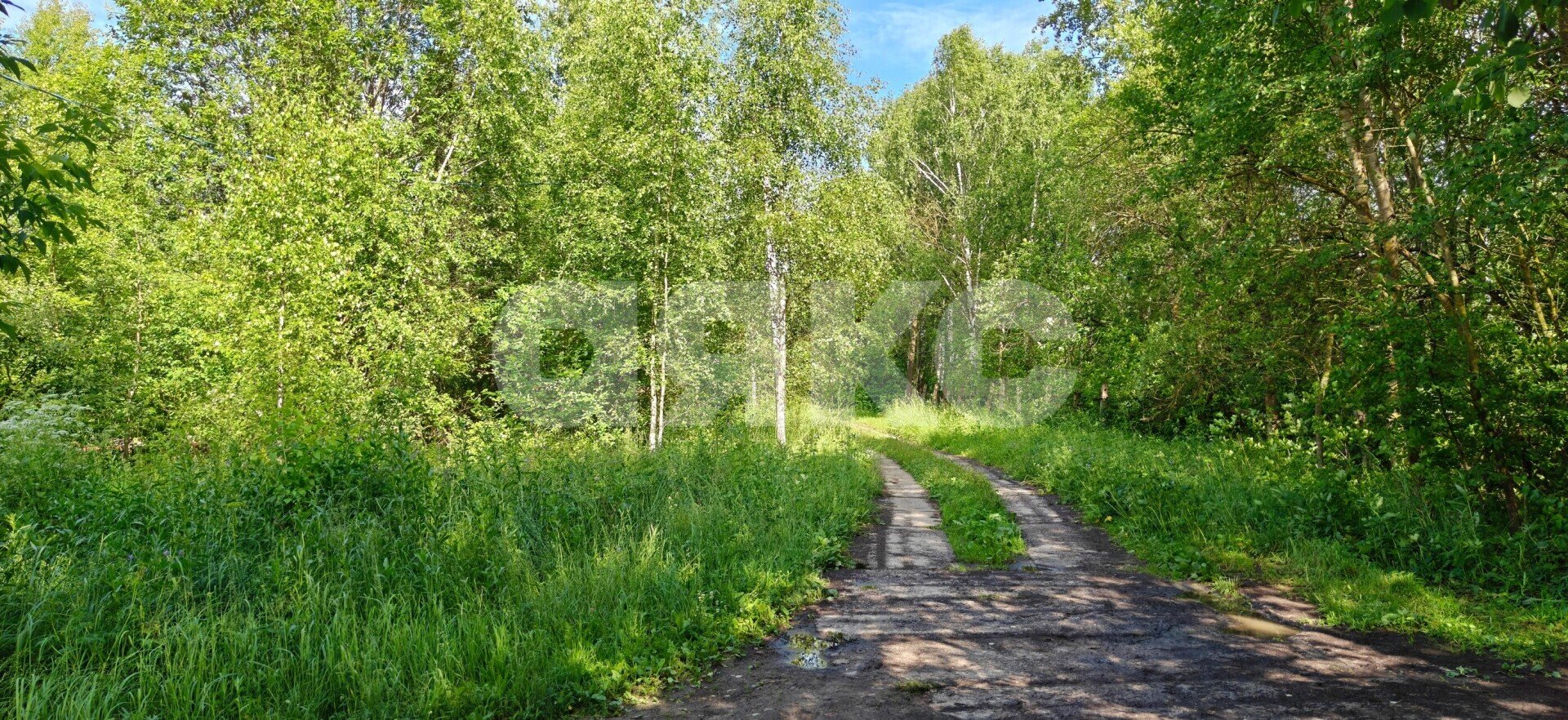 Фото №42: Дом 98&nbsp;м² + 5.01&nbsp;сот., 2&nbsp;эт. - Ширяево, ул. Берёзки