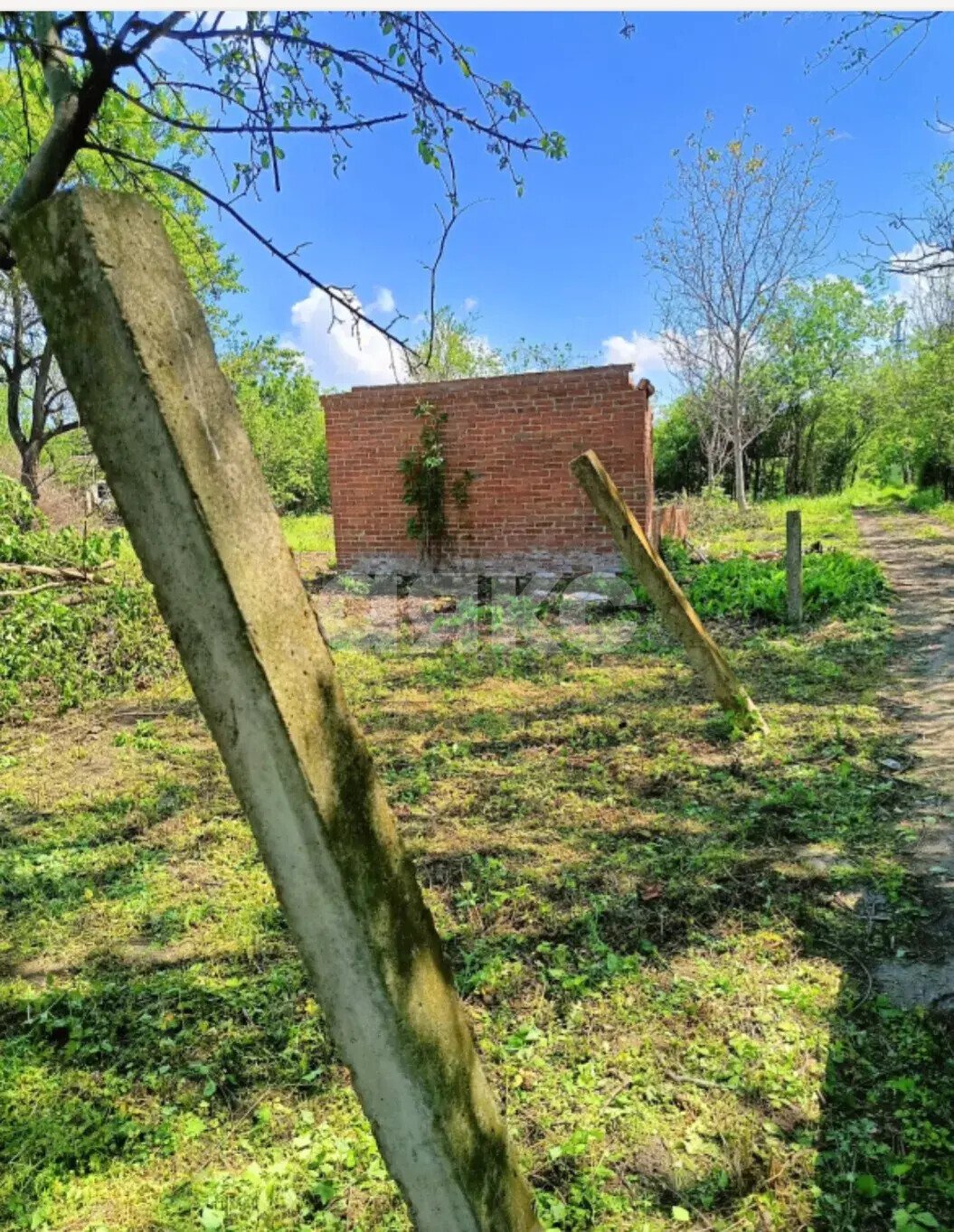 Фото №4: Участок садоводство 6.67&nbsp;сот. - Армавир, мкр. СНТ Кубань, пр-д Кабардинский, 9