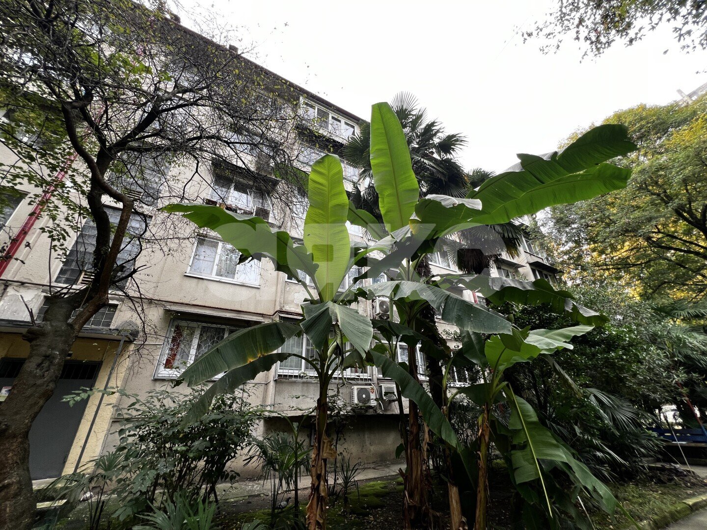 Фото №29: 2-комнатная квартира 53&nbsp;м², 5/5&nbsp;эт. - Дагомыс, р. Лазаревский, ул. Батумское шоссе, 51