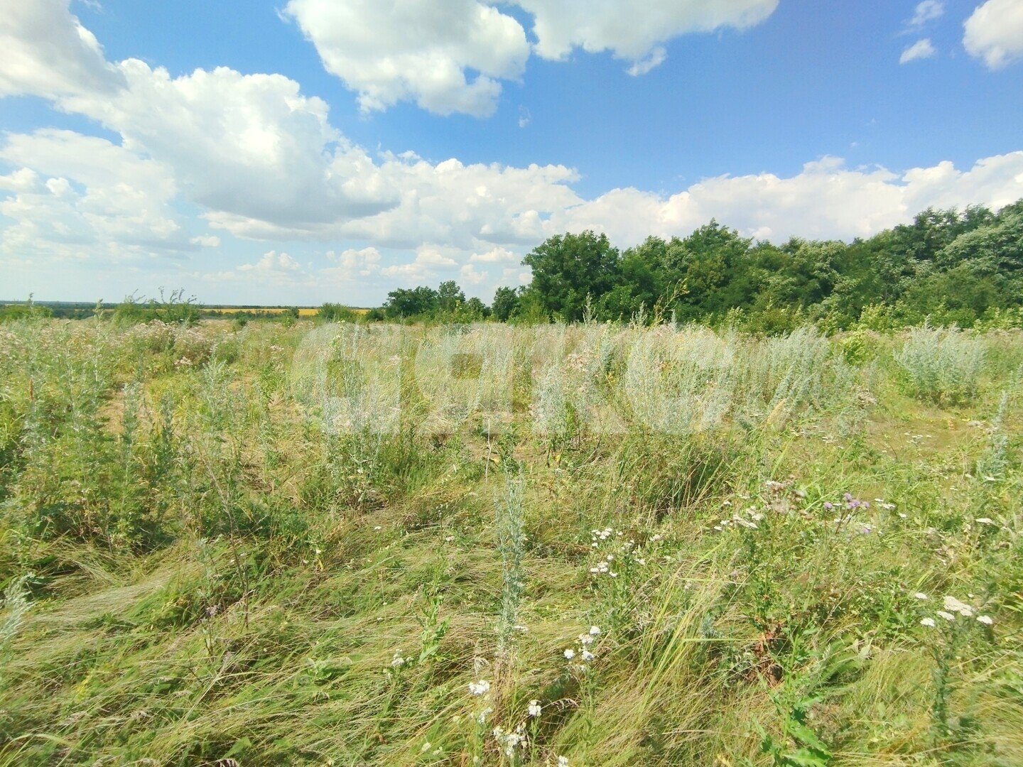 Фото №2: Земельный участок под ИЖС 6.56&nbsp;сот. - Ростовская область Аксайский район