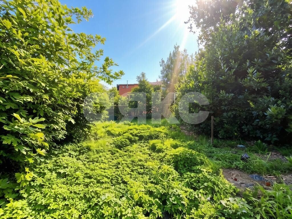 Фото №3: Земельный участок под ИЖС 3&nbsp;сот. - Туапсе, ул. Нахимова, 16А