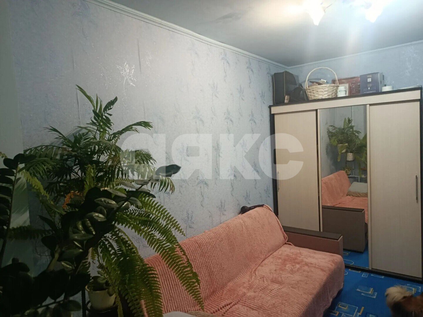 Фото №6: 3-комнатная квартира 67&nbsp;м², 6/9&nbsp;эт. - Геленджик, мкр. Парус, 20