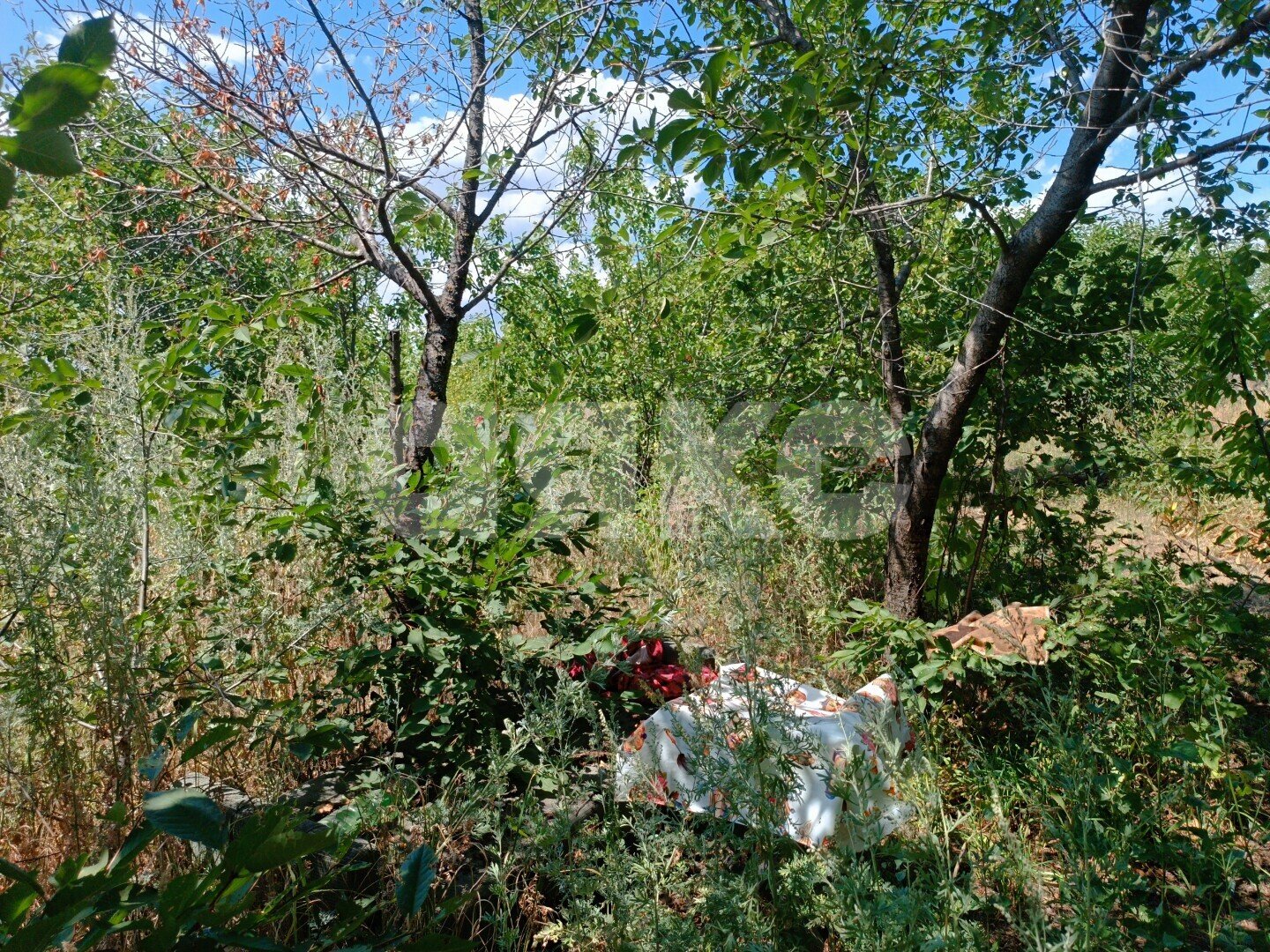 Фото №10: Дача 12&nbsp;м² + 4.5&nbsp;сот., 1&nbsp;эт. - Волгоград, Краснооктябрьский, мкр. СНТ Транспортник