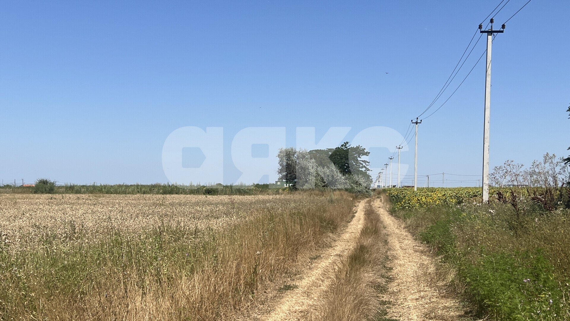 Фото №6: Коммерческая земля 6&nbsp;сот. - Витязево, пр-кт Южный