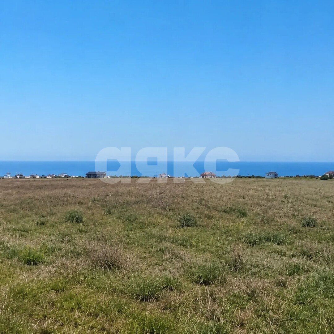 Фото №8: Личное подсобное хозяйство 6&nbsp;сот. - Суворовское