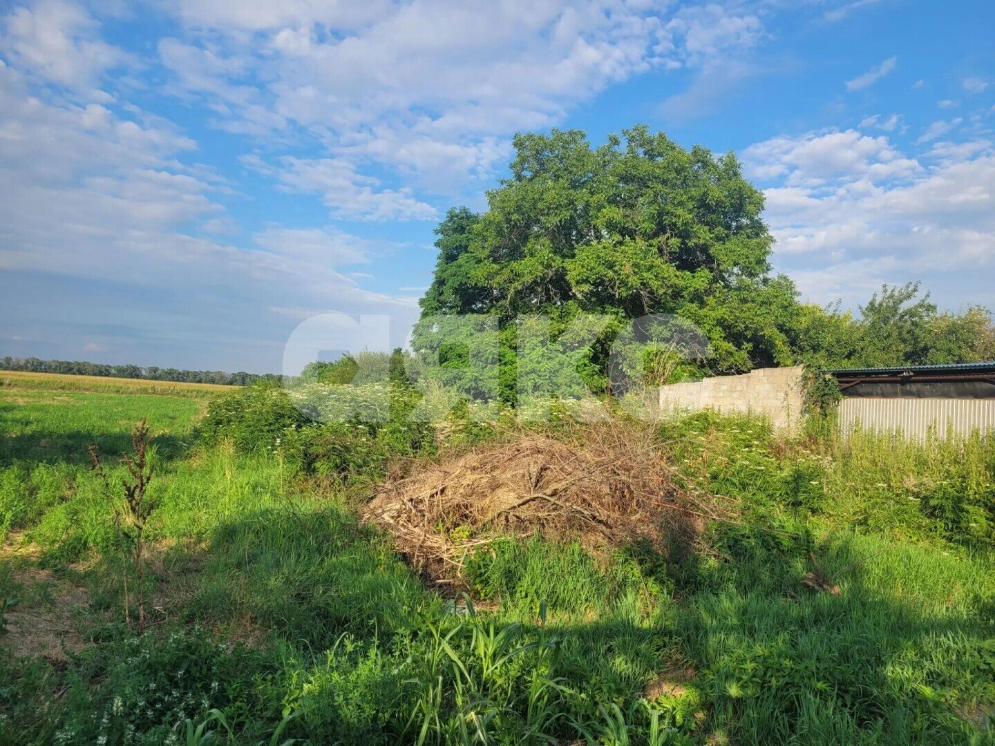Фото №5: Личное подсобное хозяйство 15&nbsp;сот. - Красное Поле, ул. Кочубея, 73