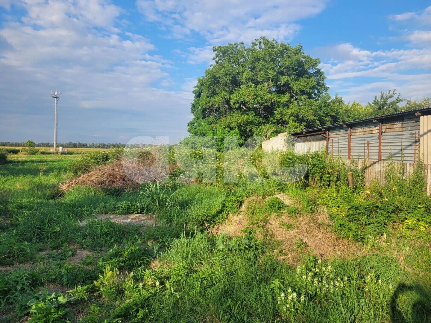 Фото №4: Личное подсобное хозяйство 15&nbsp;сот. - Красное Поле, ул. Кочубея, 73