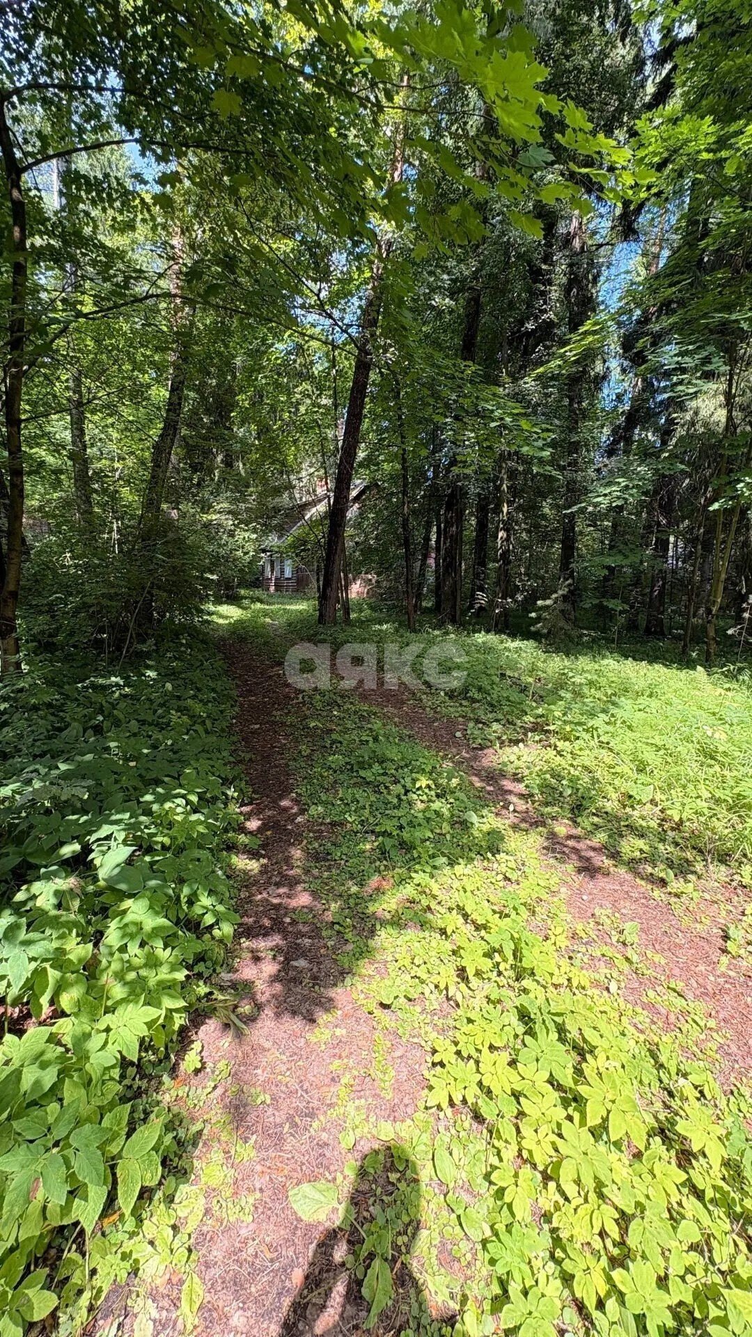 Фото №4: Дом 144&nbsp;м² + 34&nbsp;сот., 2&nbsp;эт. - Кратово, ул. Желябова, 3