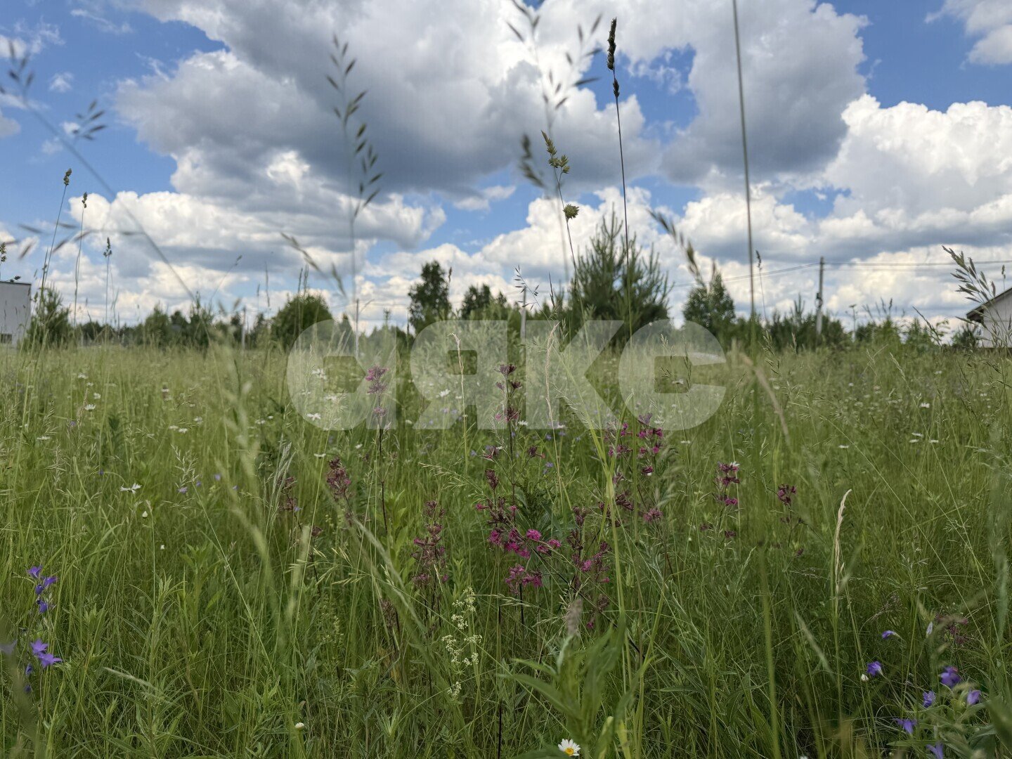 Фото №3: Земельный участок под ИЖС 12&nbsp;сот. - Раменское, р. Северный, ул. Зимняя