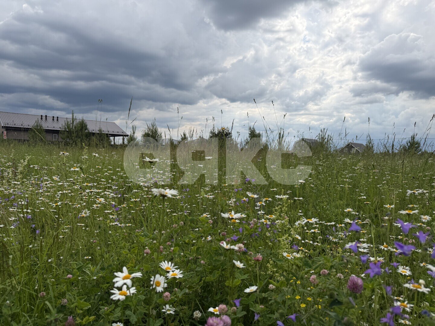 Фото №5: Земельный участок под ИЖС 12&nbsp;сот. - Раменское, р. Северный, ул. Зимняя