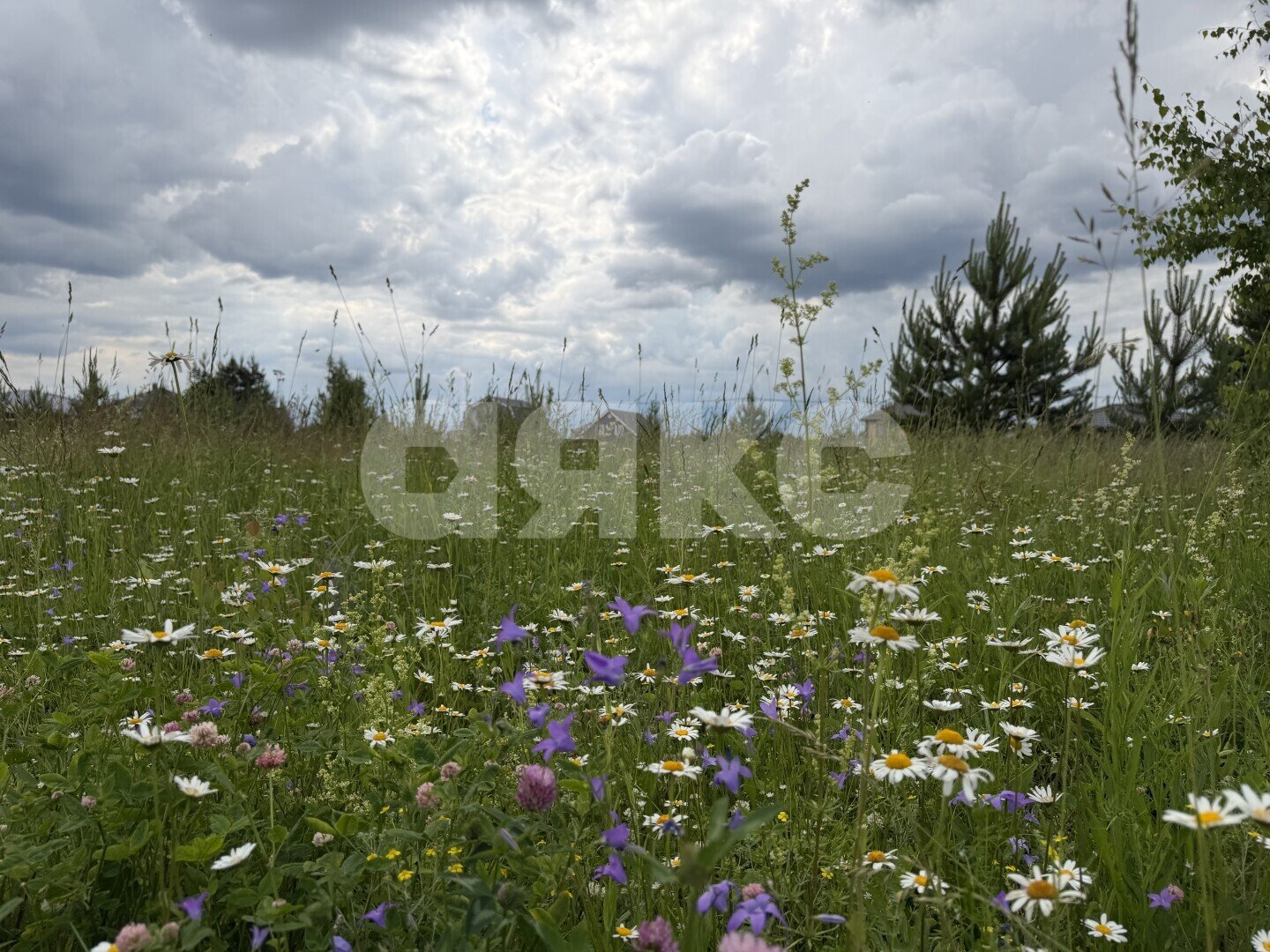 Фото №4: Земельный участок под ИЖС 12&nbsp;сот. - Раменское, р. Северный, ул. Зимняя