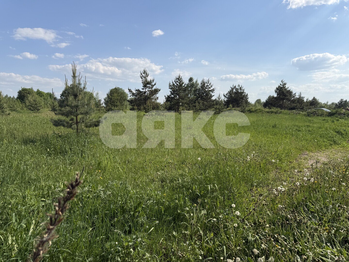 Фото №4: Земельный участок под ИЖС 9&nbsp;сот. - Раменское, р. Северный