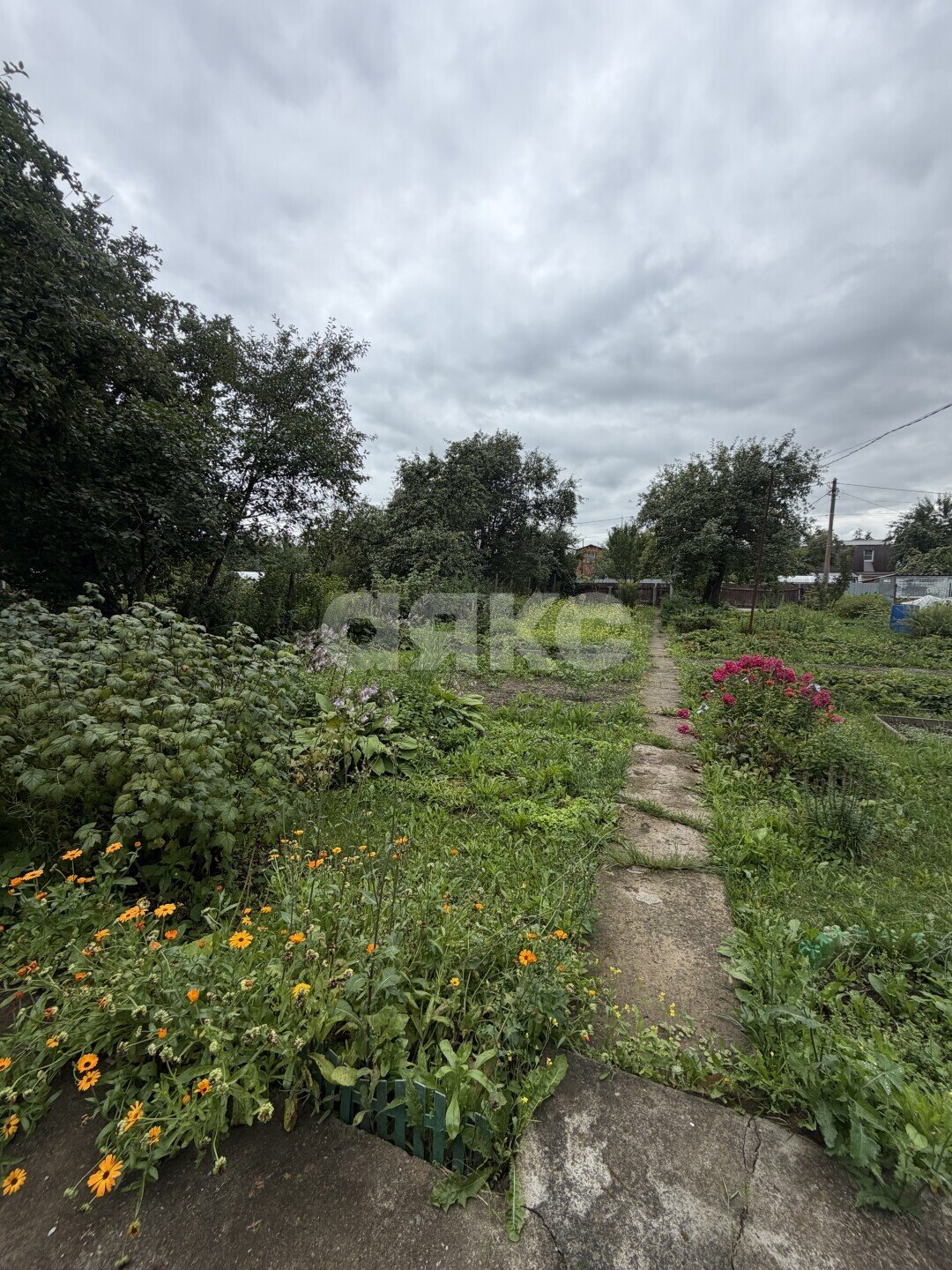 Фото №18: Дача 34&nbsp;м² + 6&nbsp;сот., 1&nbsp;эт. - Воскресенск, мкр. СНТ Отдых, 531