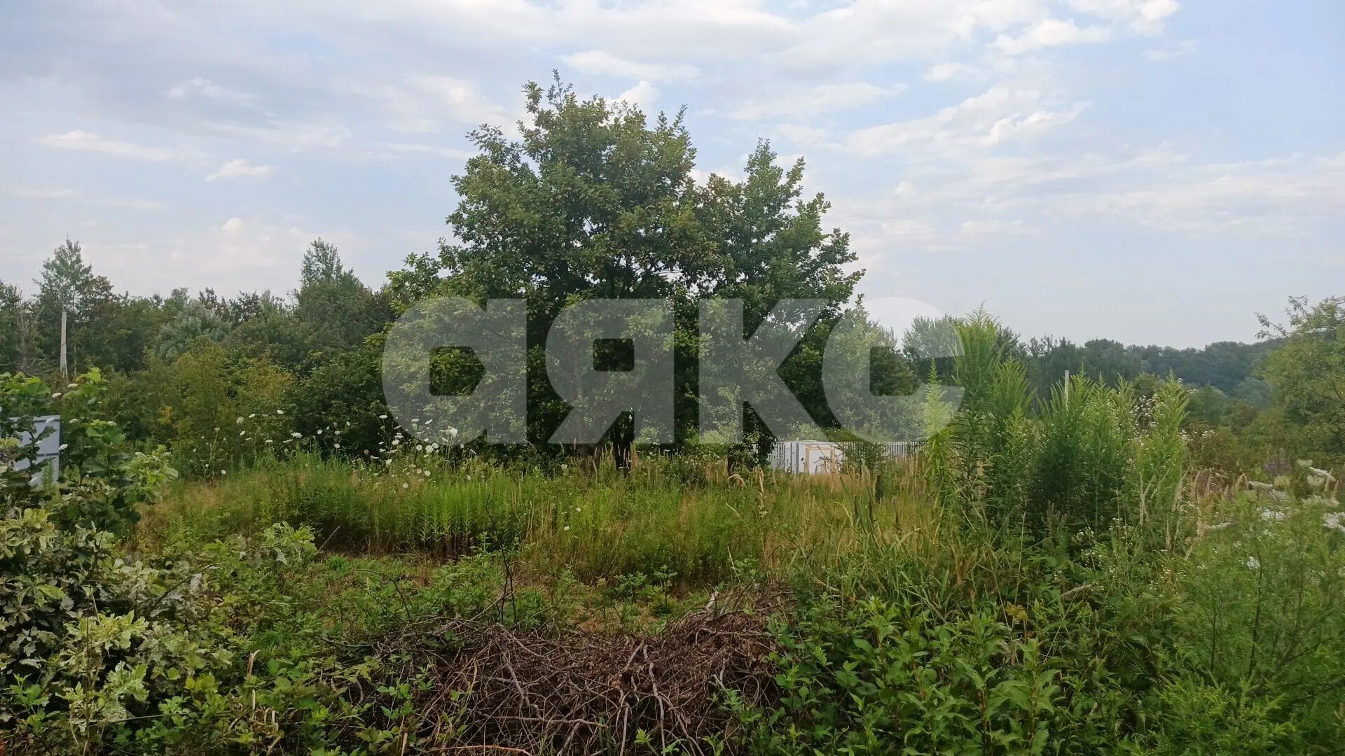Фото №8: Участок садоводство 6&nbsp;сот. - Надежда