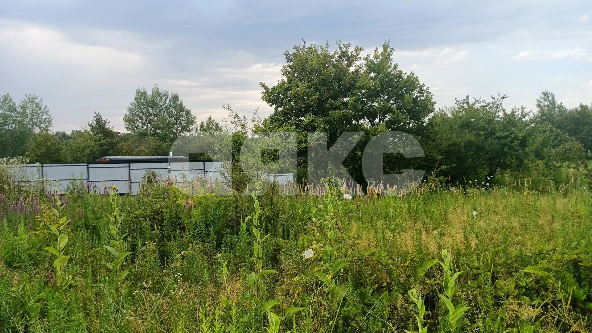 Фото №6: Участок садоводство 6&nbsp;сот. - Надежда