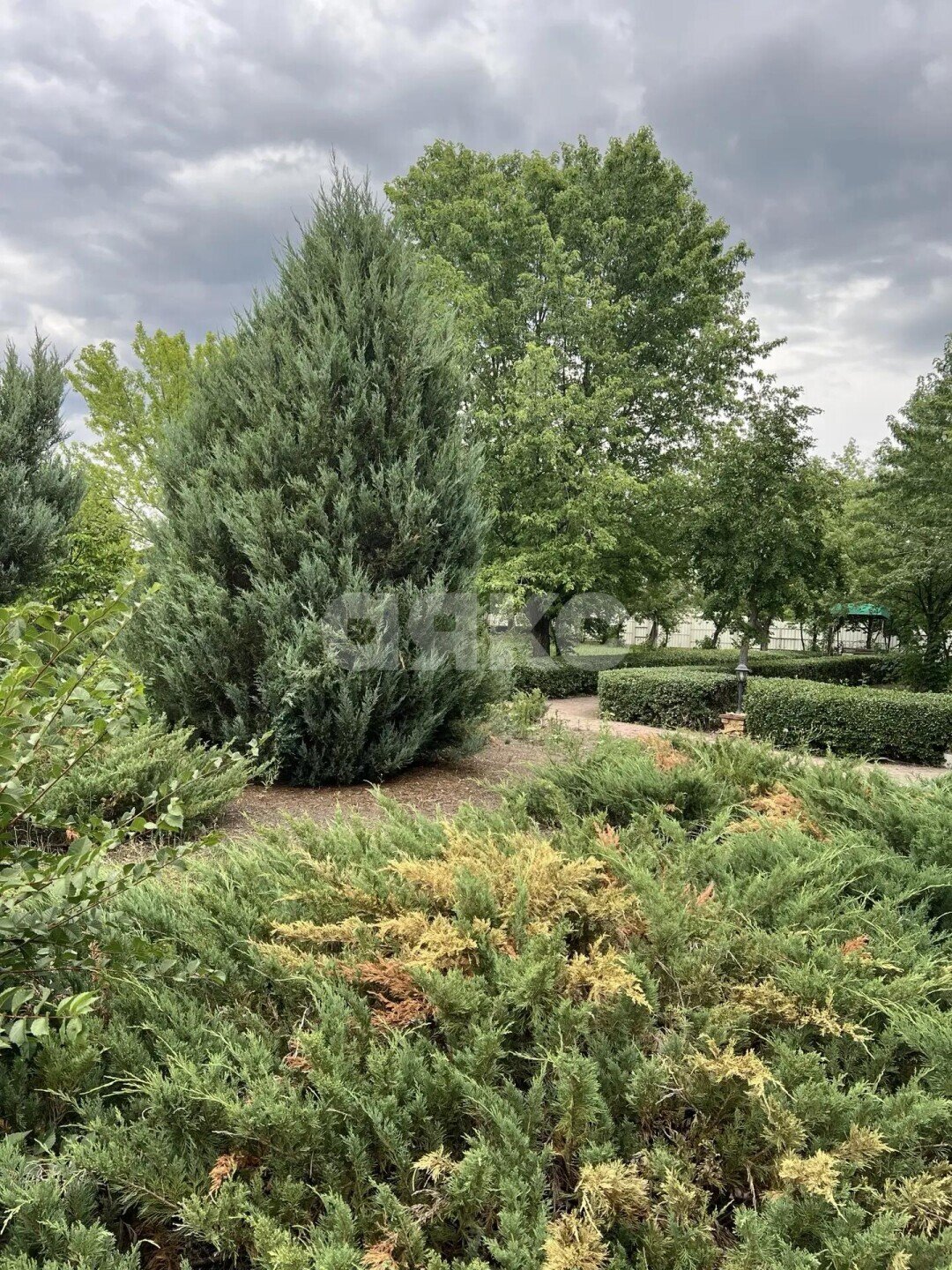Фото №23: Коммерция 184&nbsp;м², 1/2&nbsp;эт. - Луганская Народная Республика муниципальный округ Станично-Луганский
