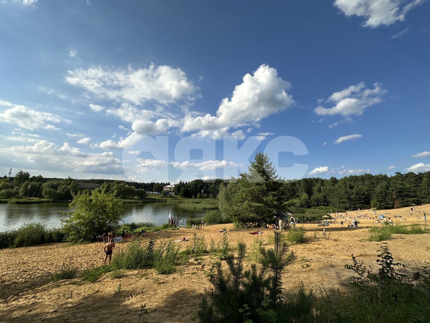 Фото №21: Участок садоводство 3.04&nbsp;сот. - Раменское, р. Залинейный