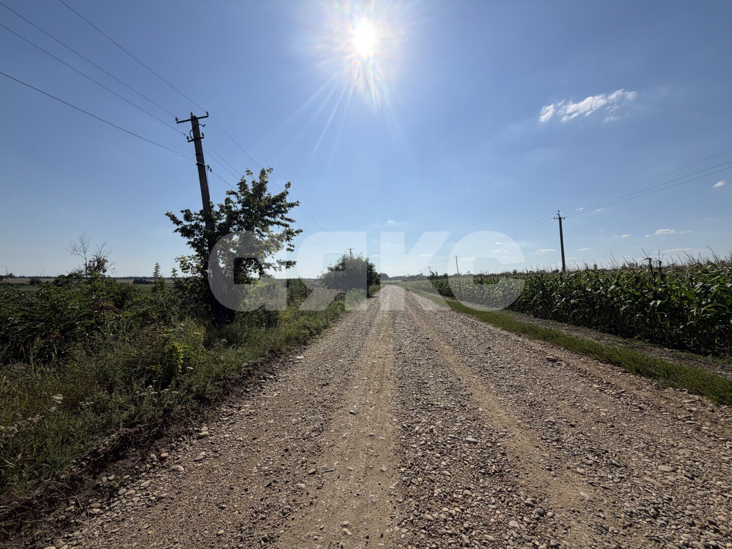 Фото №23: Личное подсобное хозяйство 20.69&nbsp;сот. - Журавская, ул. Братская