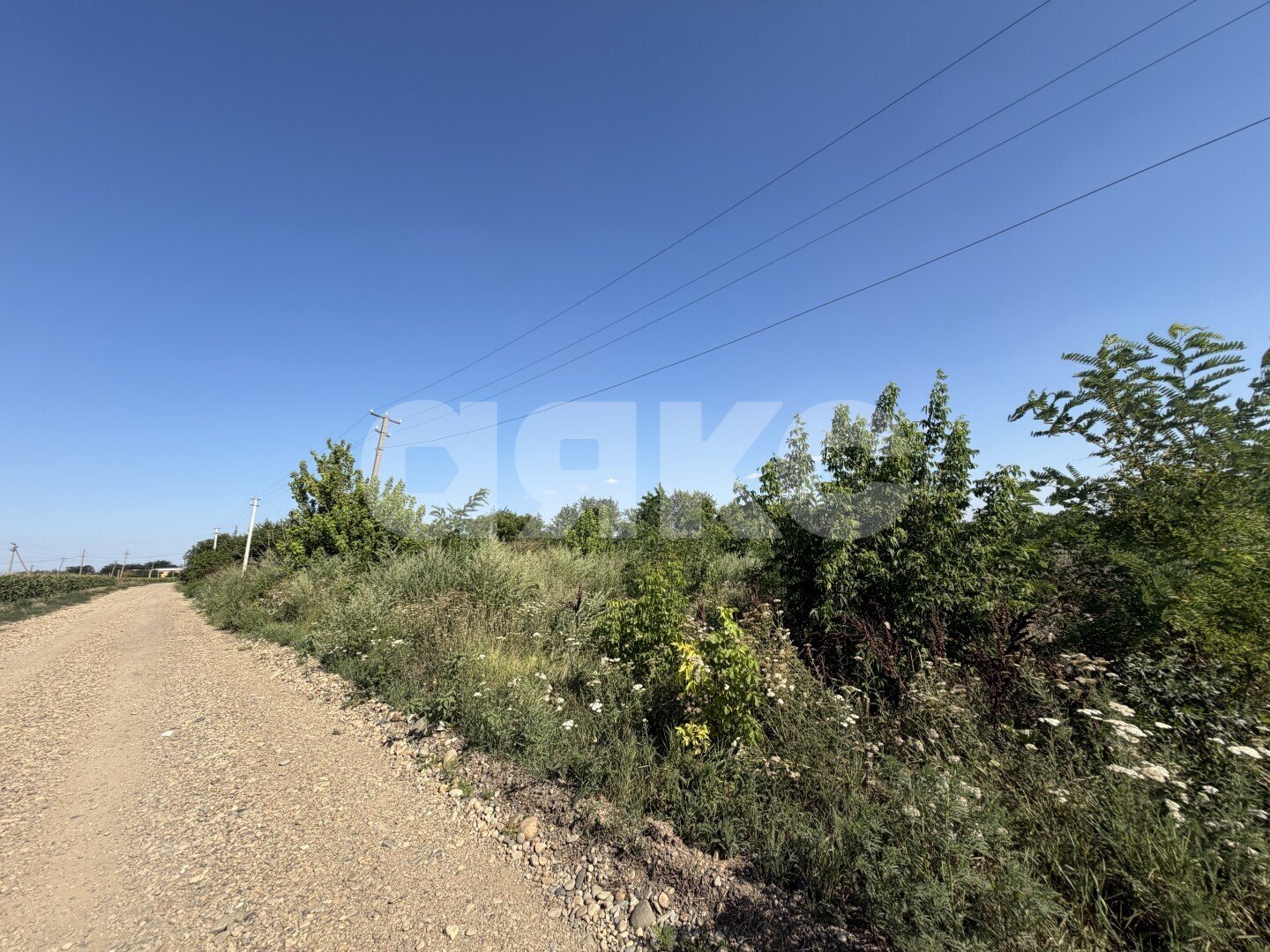 Фото №22: Личное подсобное хозяйство 20.69&nbsp;сот. - Журавская, ул. Братская