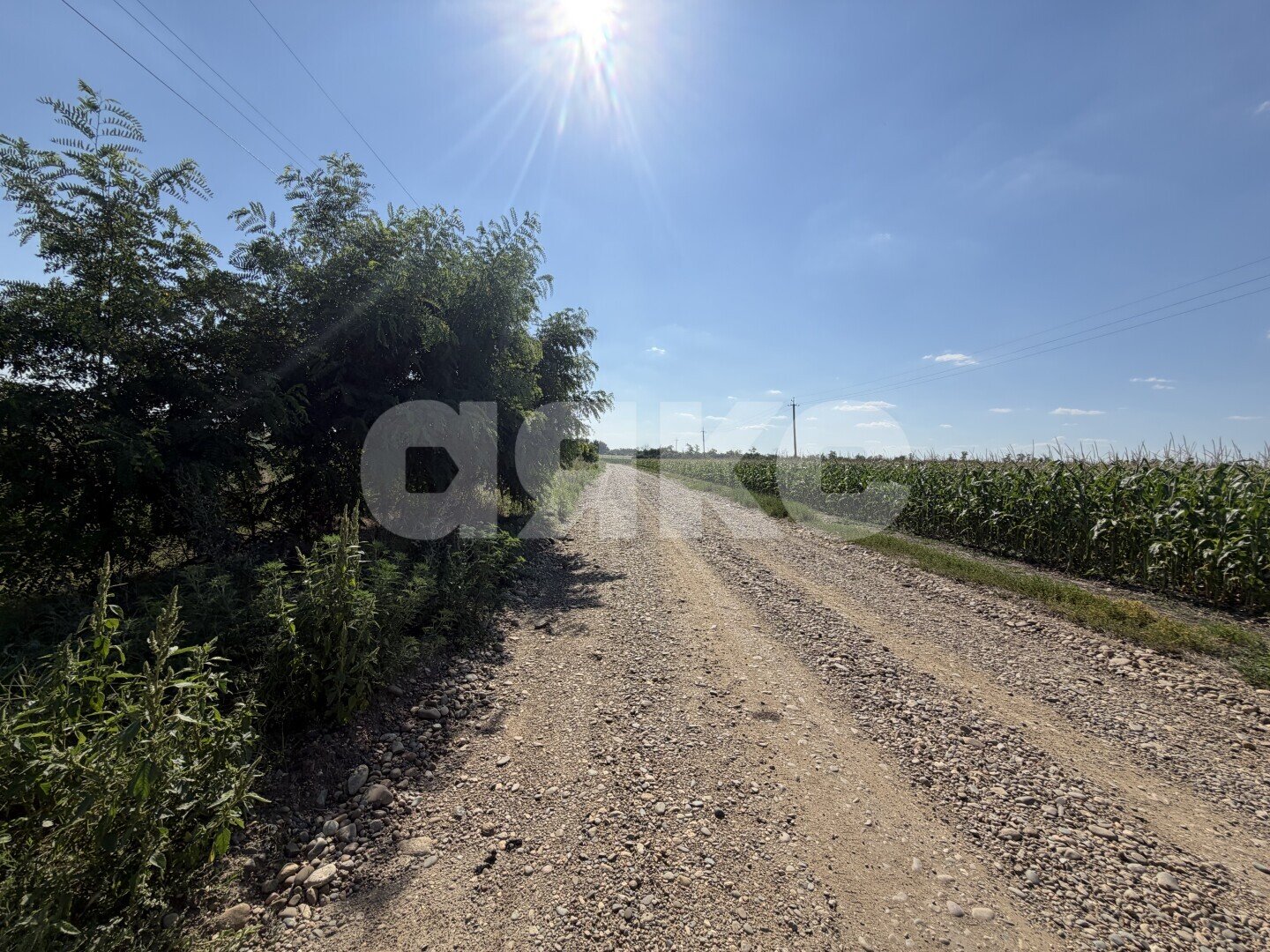Фото №15: Личное подсобное хозяйство 20.69&nbsp;сот. - Журавская, ул. Братская