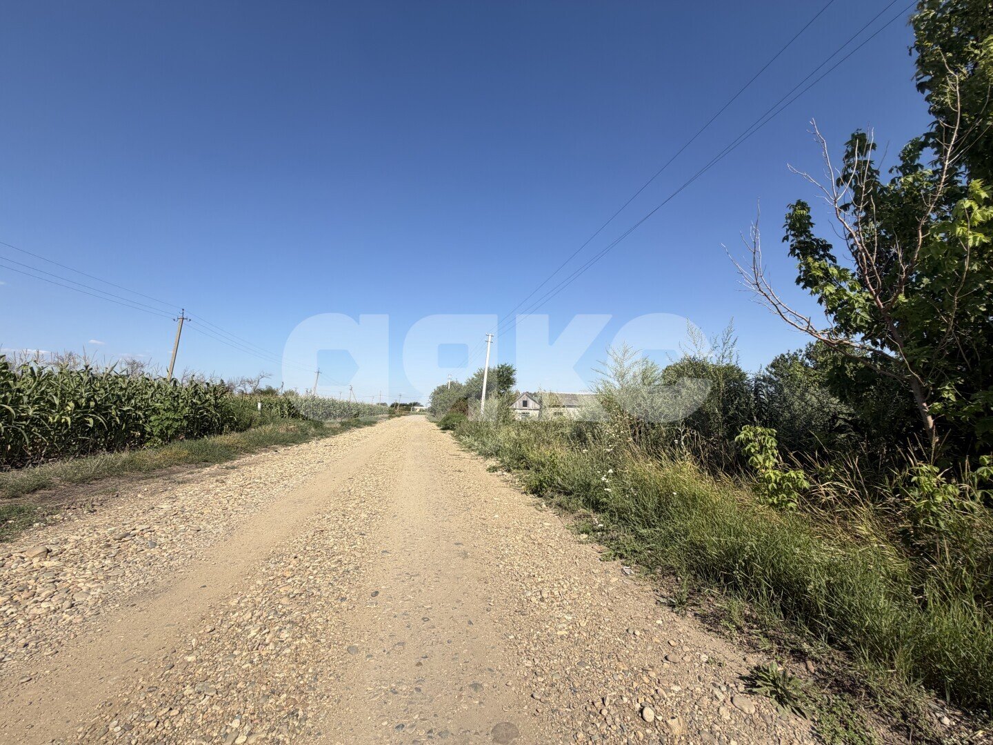 Фото №24: Личное подсобное хозяйство 20.69&nbsp;сот. - Журавская, ул. Братская