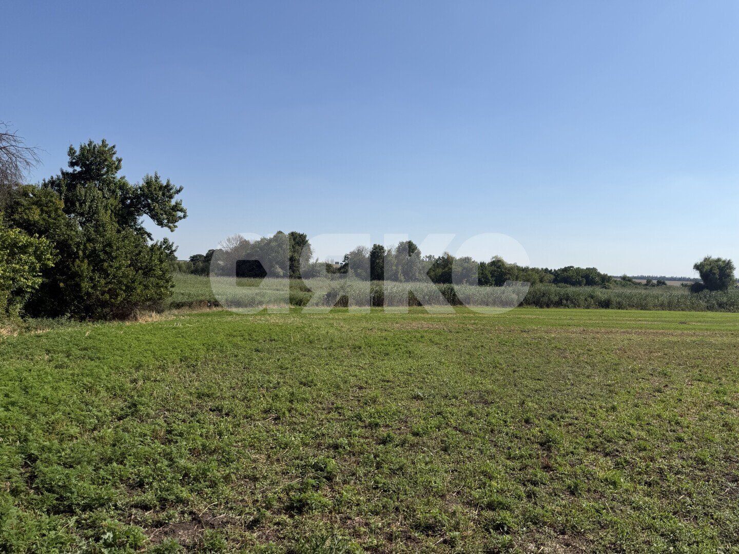Фото №10: Личное подсобное хозяйство 20.69&nbsp;сот. - Журавская, ул. Братская