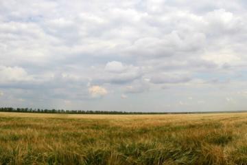 Фото №1: Участок садоводство 543.71&nbsp;сот. - Калинино, 