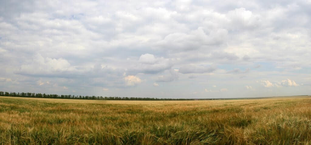 Фото №1: Участок садоводство 543.71&nbsp;сот. - Калинино