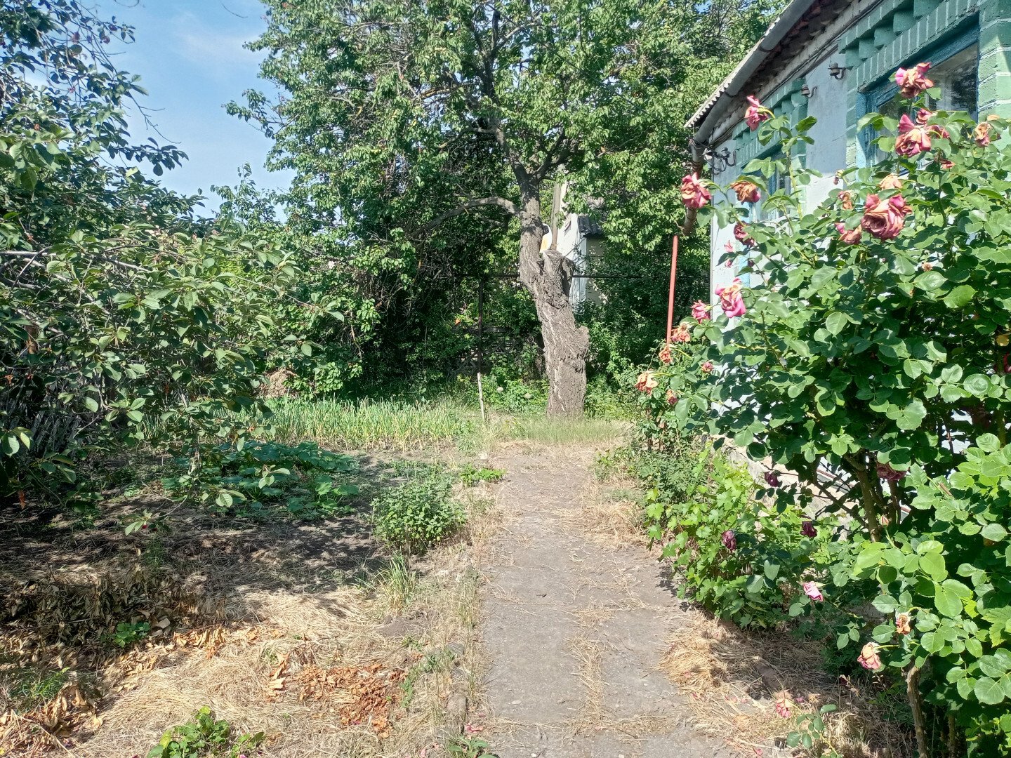 Фото №3: Дом 74&nbsp;м² + 5&nbsp;сот., 1&nbsp;эт. - Мариуполь, Приморский, п. Южный, ул. Лоцманская, 45